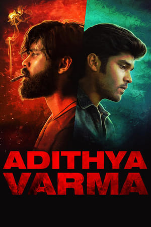 Adithya Varma 2019 (Hindi - Tamil) Dual Audio 480p UnCut HDRip 450MB