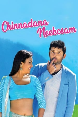 Chinnadana Nee Kosam 2014 Hindi Dual Audio 720p BluRay [1.5GB]