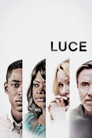 Luce 2019 Hindi Dual Audio 480p Web-DL 340MB