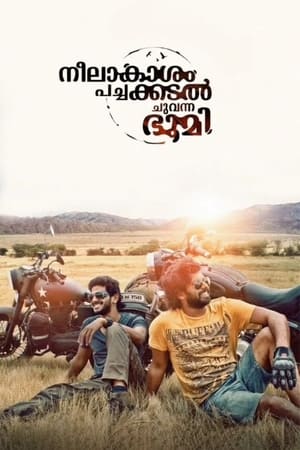 Neelakasham Pachakadal Chuvanna Bhoomi (2013) Hindi Dubbed 480p HDRip 450MB