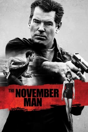 The November Man 2014 100mb Hindi Dual Audio movie Hevc BRRip Download