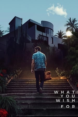 What You Wish For 2023 Dual Audio Hindi HDRip 720p – 480p – 1080p